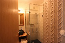 Chalet Diamant - badkamer met wastafel en douchecabine